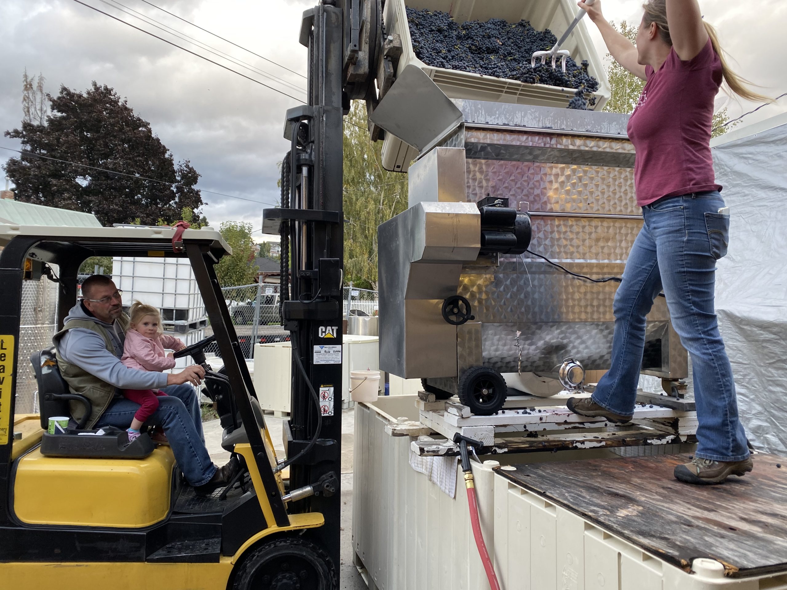 family wine production in Manson washington